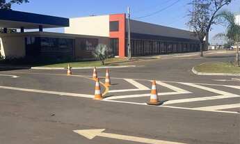 Imagem 4: Lote rosas de Leiria/estudo troca por AP