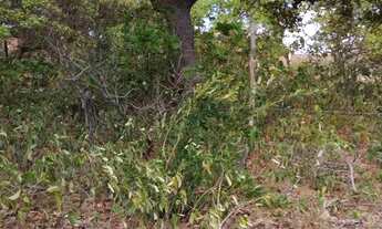 Imagem 2: Terreno em genipabu a 1 quilômetro do centro 10 por 40