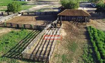 Imagem: Fazenda 2000 Hectares Jaiba - MG