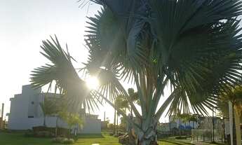 Imagem: Lote Plano no Jardim das Tulipas !