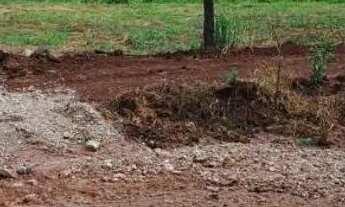 Imagem 2: Vende-se sítio/chacara