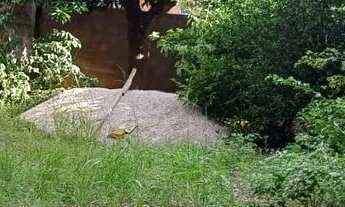 Imagem 6: Oportunidade Imperdível! Terreno à Venda com Área Gourmet Pronta! (CRECI9933/MT