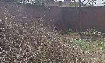 Imagem 5: Terreno na Colinas do Peró 250m2 (10x25) - Preço mais baixo da região