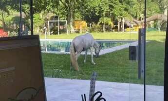 Imagem 7: Sítio com 12.000m², Recém reformado, pronto a utilizar