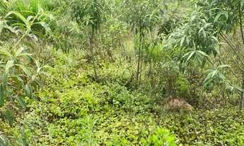 Imagem: Terreno em Ibiúna com 500m² em Condomínio