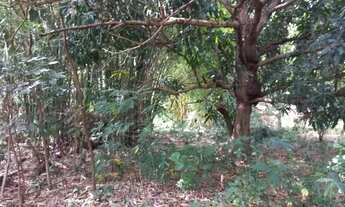 Imagem 7: Terreno à venda no bairro Santo Hilário em Goiânia/GO