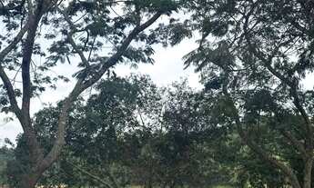 Imagem 3: último terreno de 1000m no condomínio Veneza - Votorantim SP