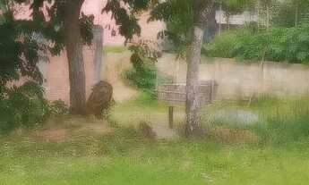 Imagem: Lote na Serra bicuda pequena