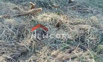 Imagem 4: Lote em Rua das Orquídeas - Loteamento Vale das Flores - Atibaia/SP