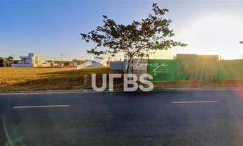 Imagem 7: LOTE TERRAS ALPHA 2