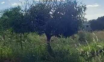 Imagem: Terreno de 2.200m² Proximo ao Morada Nobre