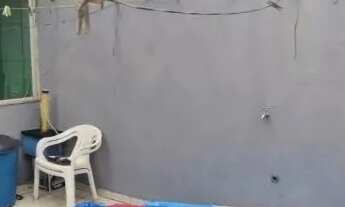 Imagem 7: CASA ASSOBRADADA - VILA GUILHERMINA - SP