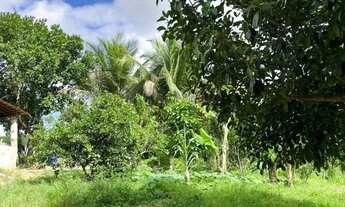 Imagem 7: Sítio para Venda em Flexeiras, Zona Rural, 3 dormitórios, 1 banheiro, 1 vaga