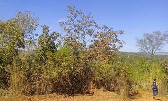 Imagem 3: Lote chácara Terreno / lote com venda por R$50.000