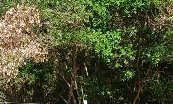 Imagem 6: Imóvel para venda com 885 metros quadrados em Setor Habitacional Jardim Botânico - Brasíli