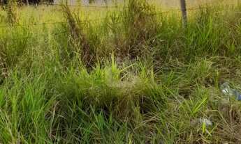 Imagem 6: Terreno Esquina Bairro Jardim Célia