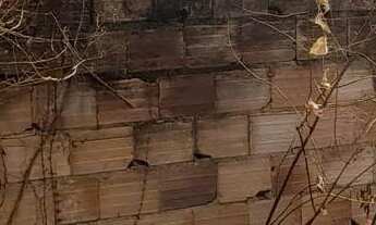 Imagem 2: Lotes no bairro paraíso