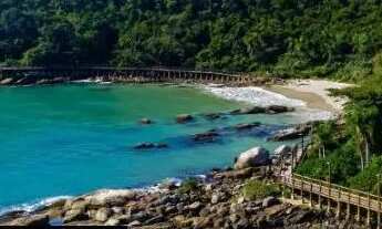 Imagem: Casa de aluguel em BOmbinhas SC