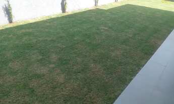 Imagem 7: Vendo lindo sobrado no Botanico