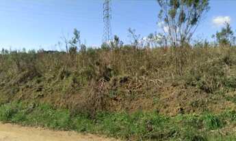 Imagem 2: Imóvel para venda possui 6590 metros quadrados em Colônia Murici - São José dos Pinhais