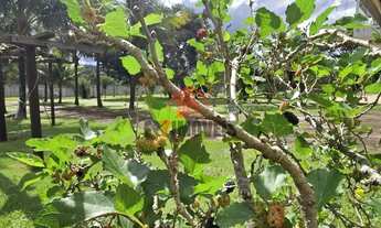 Imagem 3: Sobrado para venda com 580 metros quadrados com 5 quartos