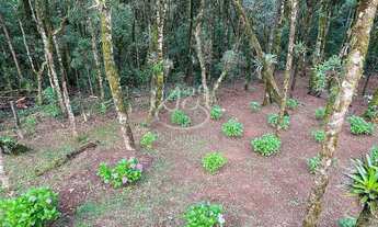 Imagem 6: Casa em Nova Capivari - Nova Capivari - Campos do Jordão/SP