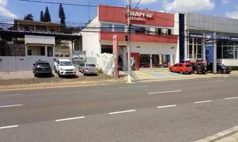 Imagem 4: Terreno à venda e para alugar em Campinas, Cambuí, com 503 m²