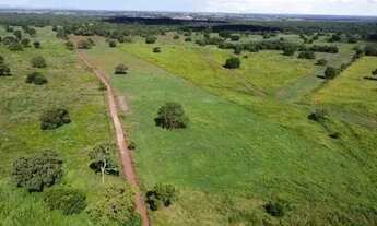 Imagem: Fazenda c/ 1.226he c/ 920he abertos/juquirado