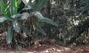 Imagem 4: Lote em Rua Tiradentes - Caraguatá - Mairiporã/SP