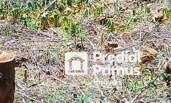 Imagem 5: Terreno à venda, 873 m² por R$ 180.000,00 - Ponte da Saudade - Nova Friburgo/RJ