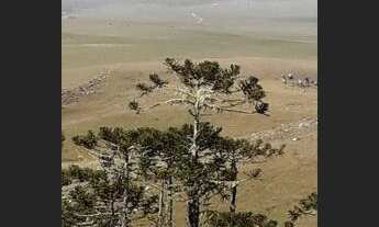Imagem 2: Fazenda de 200 ha