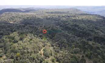 Imagem 5: Fazenda de 140 Alqueires . Mecaniza 79 Alqueires - Pinhão PR . R$ 7.000.000,00