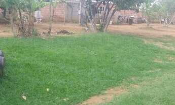 Imagem 2: Novo Gama (Vale do Sabiá) chácara 6.000m² com casa e pomar R$ 145.000