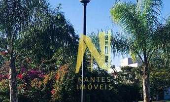 Imagem 7: Terreno à venda, 740 m² por R$ 750.000,00 - Jardim Montecatini - Londrina/PR