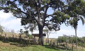 Imagem 6: Sítio 03 Hectares -Sítio Recanto do Lazer 03 Hectares