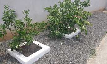 Imagem 2: Edícula Com Quintal e Pomar