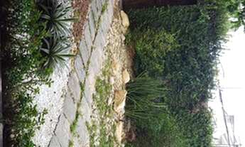 Imagem 3: Aluga-se Casa Comercial com Galpão no Bairro do Cocó em Fortaleza Ceará