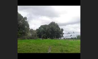 Imagem 4: Vendo uma fazenda 700 mil reais