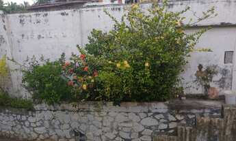 Imagem 4: Excelente Oportunidade Alugo casa em Pituaçu