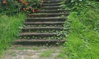 Imagem 5: Casa para Venda em Paraty, Corisco, 2 dormitórios, 1 suíte, 3 banheiros, 5 vagas