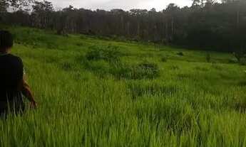 Imagem 3: Vendo uma colônia de 632 hectares, com 35 hectares de pasto mais 40 hectare