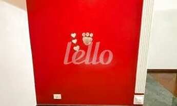 Imagem 5: São Paulo - Apartamento Padrão - Tremembé