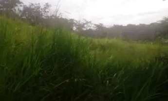 Imagem 14: Vendo uma colônia de 632 hectares, com 35 hectares de pasto mais 40 hectare