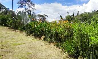 Imagem 3: Sítio - Pedacinho do Céu (Sta Bárbara do Tugúrio
