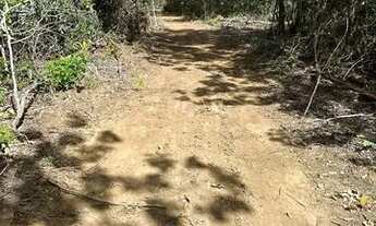 Imagem 2: Fazenda em Cristalandia 561 ha