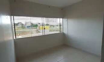 Imagem 3: Kit 601 samambaia norte