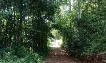 Imagem 3: Área de terras em Bom Principio