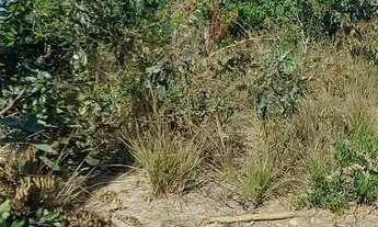 Imagem: Excelente Chácara de 2.493,32 m², no Setor