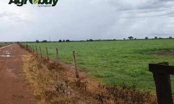 Imagem 5: Fazenda Com 195 Alqueires no Município de Peixe Região da Lagoa do Romão