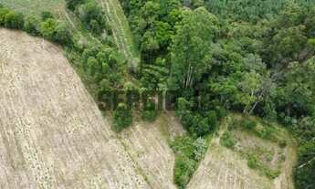 Imagem 7: Área de terra com 1,3h em Triunfo